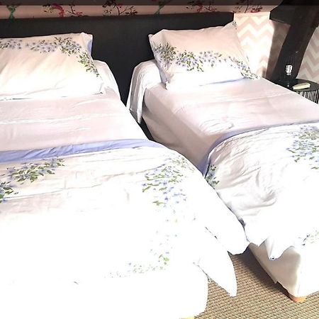 Beau Logement En Centre Ville Beaugency Eksteriør billede