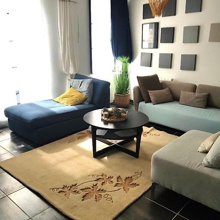 Beau Logement En Centre Ville Beaugency Eksteriør billede